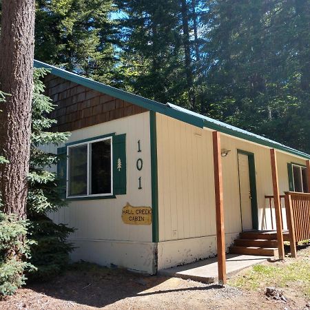 Hall Creek Cabin Packwood Exteriör bild