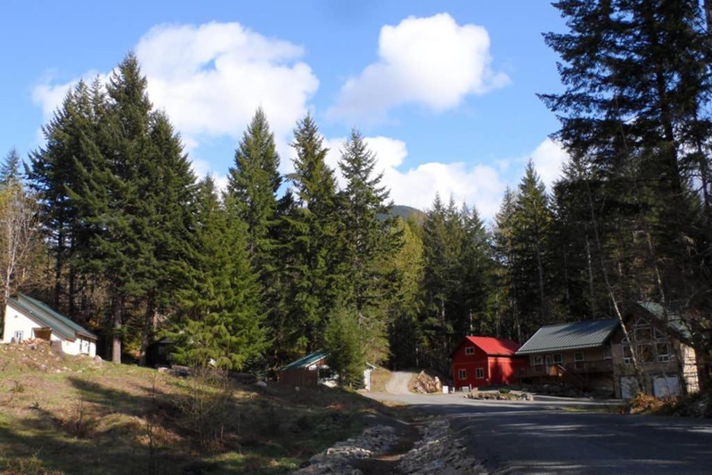 Hall Creek Cabin Packwood Exteriör bild