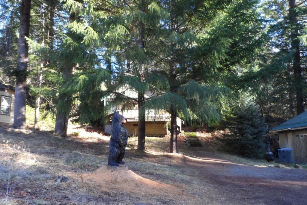 Hall Creek Cabin Packwood Exteriör bild