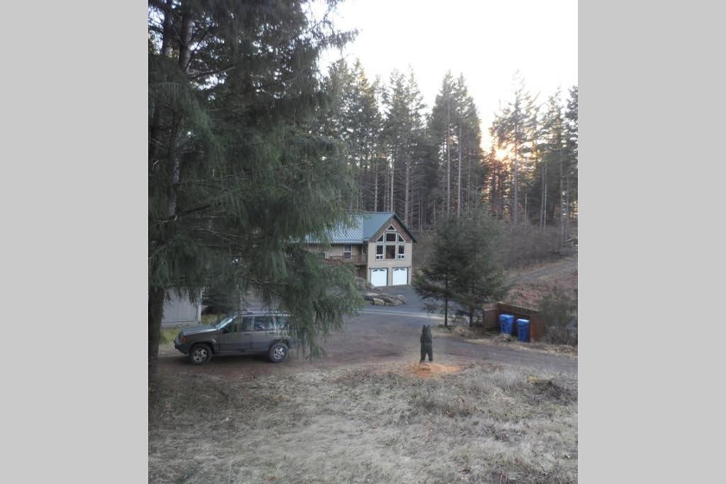 Hall Creek Cabin Packwood Exteriör bild