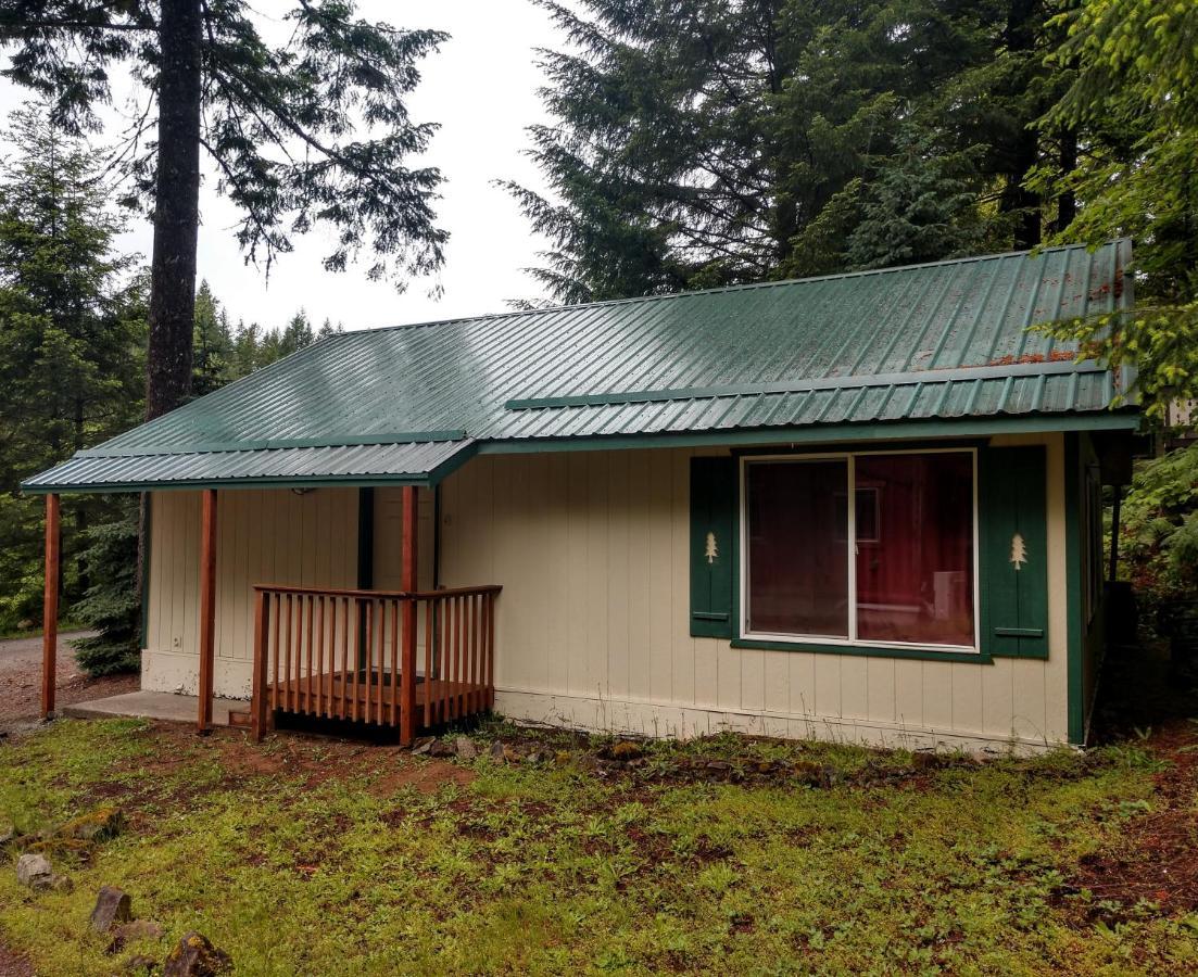 Hall Creek Cabin Packwood Exteriör bild